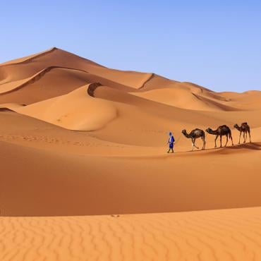 Lire la suite à propos de l’article Quoi retenir de ce papier  : Lyon Elles partent à l’assaut du désert marocain en participant au rallye Trophée Roses des sables
